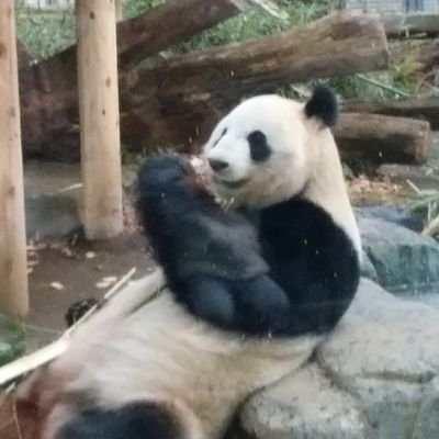 ふかさんのプロフィール画像