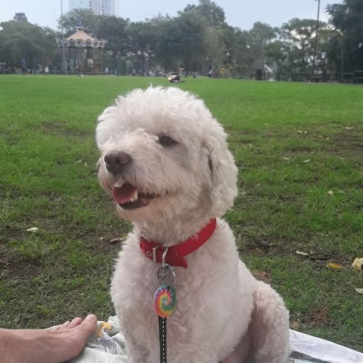 aresceci's profile picture. asesora de imagen + casi economista :)