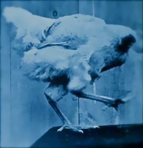 Shoma67's profile picture. *
https://t.co/2OkKcI9nsF