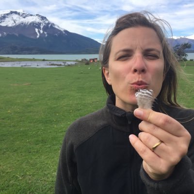 kammenthaler's profile picture. 