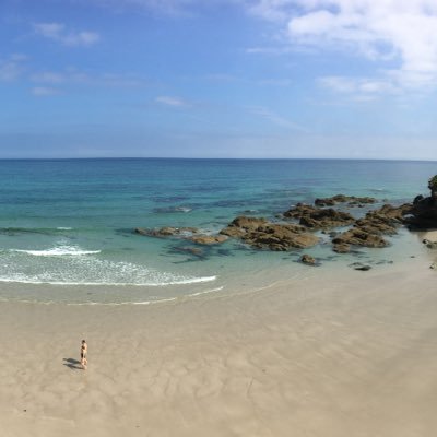 david1bf's profile picture. 