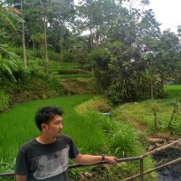 Ardhaniqa (@ardhn_) 's Twitter Profile