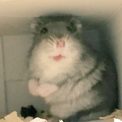 Keiko 渡辺直美のいびきが心配になるタイプのいびき 笑