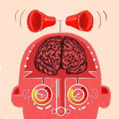 stevehaines66's profile picture. 2022-11-03 Finished with Twitter. It was fun for a while.