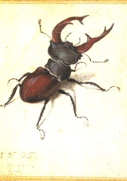 claire_nh's profile picture. 