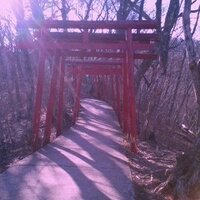 none (@last_alterego) 's Twitter Profile Photo