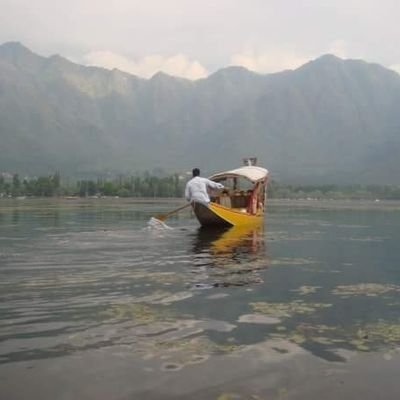 tbo_mohsin's profile picture. Like tweet not endorsements