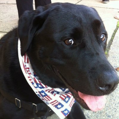 ksantil831's profile picture. 