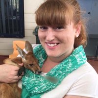 Louise Colliver (@luecolliver) 's Twitter Profile