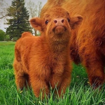 missywpd's profile picture. 