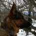 JAMES DARLINGTON (@k9harley24) Twitter profile photo JAMES DARLINGTON (@k9harley24) Twitter profile photo