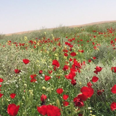 اللهم اغفر ذنبي ويسر أمري واشرح صدري