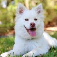 Richard Walter (@richard09049140) 's Twitter Profile