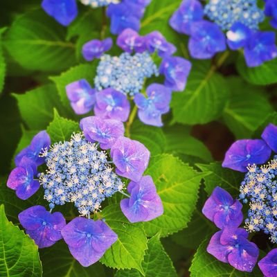 2014年花組エリザベートを観て、明日海りお様の虜になりました💕
みりお様はトキメキの元🥰
永遠のご贔屓です☺️
宝塚は大好きで全組観ます❗花組多め😉
みりお様中心に呟いてます💕
無言フォロー失礼します🙇♀️