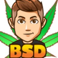BSD (aka BSD420) (@bryan_bsd420) 's Twitter Profile