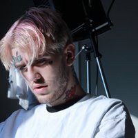 Sevenon (@csgohowl) 's Twitter Profile Photo