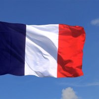 SPF don quichotte NS (@donquic29011605) 's Twitter Profile