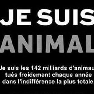 Il y a des larmes dans le coeur qui n'atteignent pas les yeux... Ne pas sacrifier l’essentiel à l’urgence mais obéir à l’urgence de l’essentiel