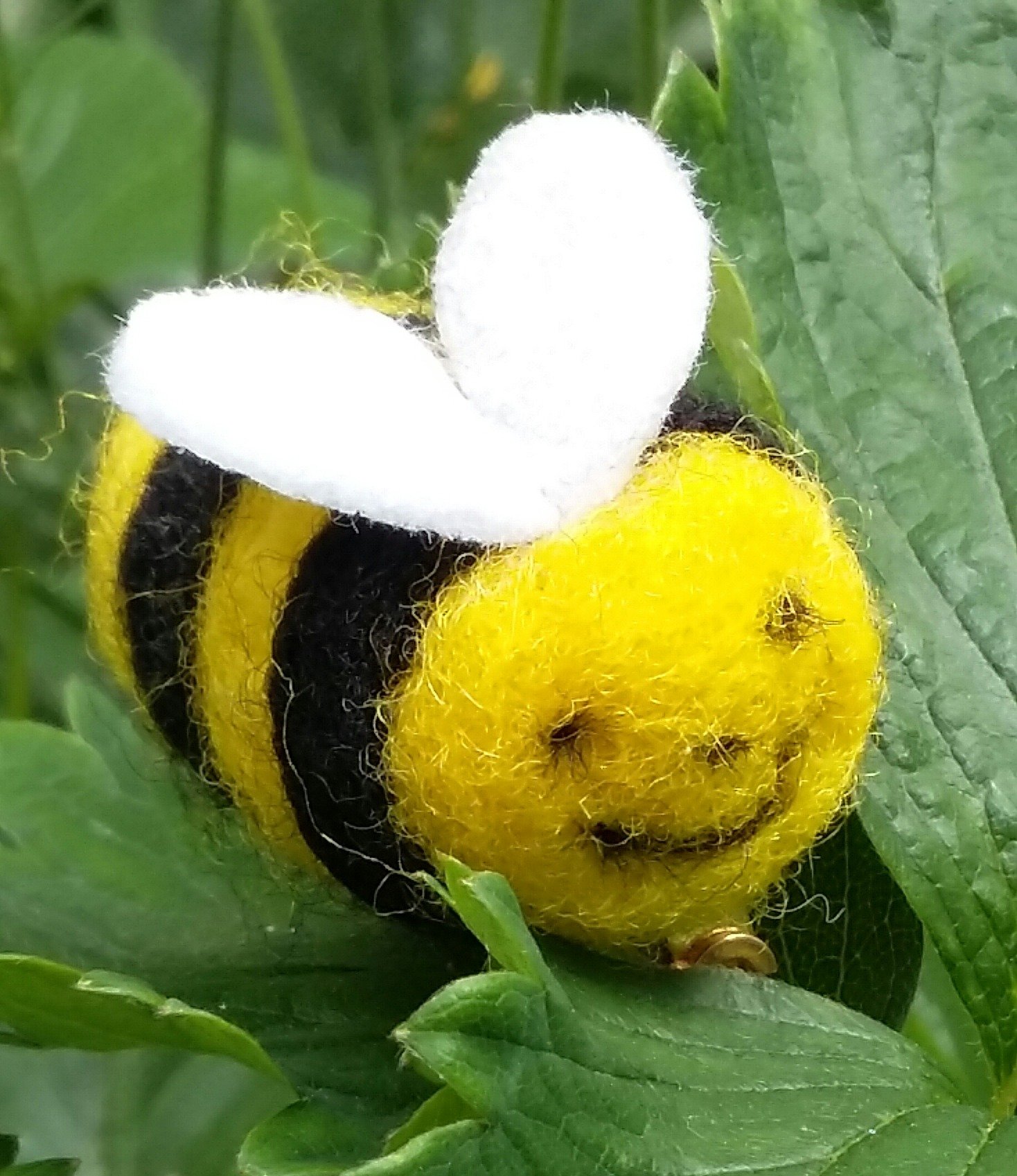 Likes flowers, dancing, rock music - all the usual bee things.