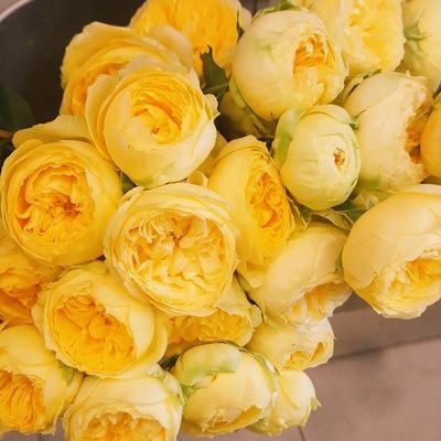 sosoh_life's profile picture. 좋아하는 거 그리는 중