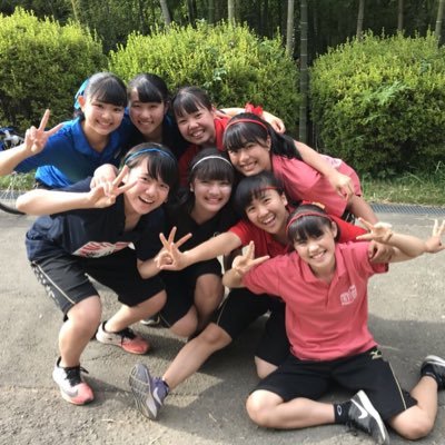 よーーーーーーくみるとちょっとかわいいバレー部6人です