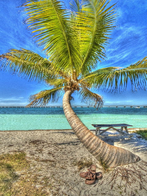 keywestoncanvas's profile picture. Key West on Canvas is an affordable fine art gallery.  The limited edition photos are printed on canvas and have an 1 1/2 inch gallery wrap.