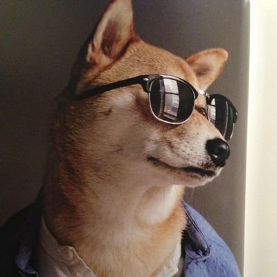 健全な投稿を心掛けております。
ついでにhttps://t.co/CBhr3VmCnp
※私はエンジョイ勢です。上手いプレイを期待してる方は殴ります。