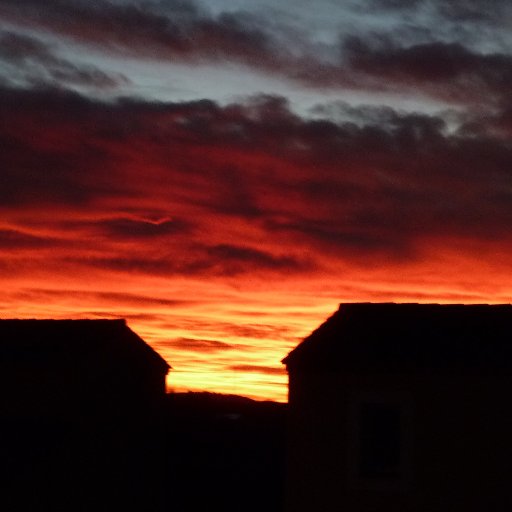 gehingerald's profile picture. 