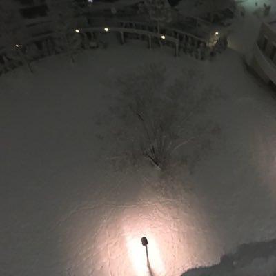 drunkard_tale's profile picture. 主にゲームしてます。あとはヨーロッパ企画とか舞台とか映画とか