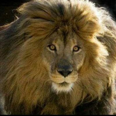 07721173858mk's profile picture. ‏‏‏مواطن عراقي بصراوي  بصيط. .حب الناس ..واحب بلدي.. واحب .. مساعدة الناس.. (( ضع ثقتك بالله ** تنجح ))ومن الله التوفيق