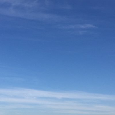 inanutshellplay's profile picture. 