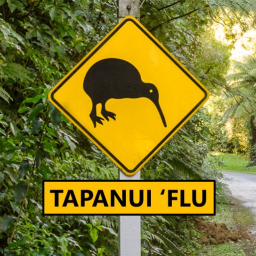 Kiwi Grandmother | New Blogger 2024 | #MyalgicEncephalomyelitis since 1983 | #TapanuiFlu epidemic | Mostly housebound | On welfare | #LongCovid ally.