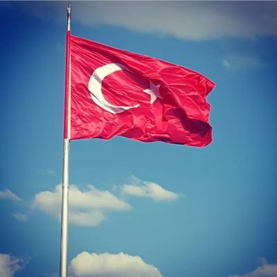 kgns1910's profile picture. 