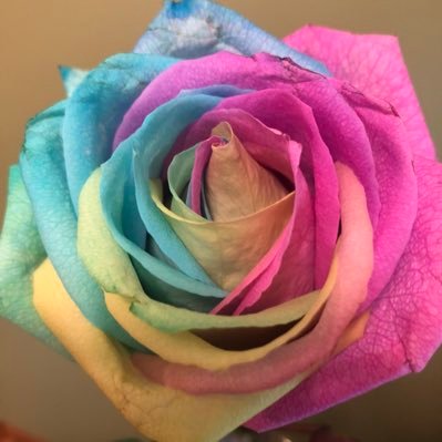 Jana59550141's profile picture. 