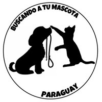 Buscando a tu Mascota Py (@mascotitaspy) 's Twitter Profile