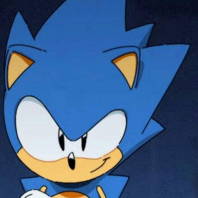 Youtuber covering Sonic games! Mostly Sonic Mania, the Adventure games, and also fan games. Also live stream Sonic Mania multiplayer!