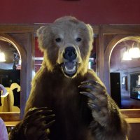 Frankie (@springer6805) 's Twitter Profile