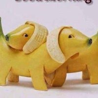 Pradara (@dedypraba) 's Twitter Profile