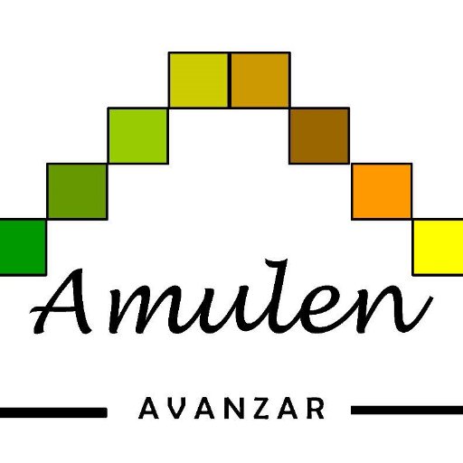 Centro de Salud Mental Comunitaria Amulen, ubicado en Carlos Anwandter #606, Valdivia.