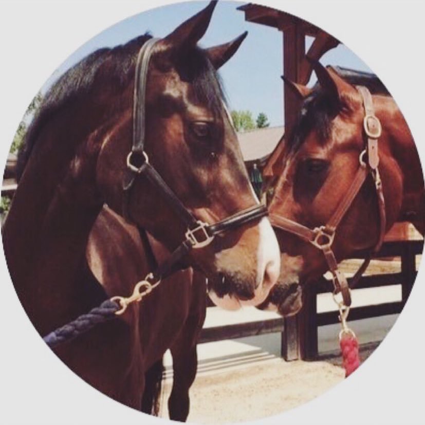 r5wii's profile picture. ..