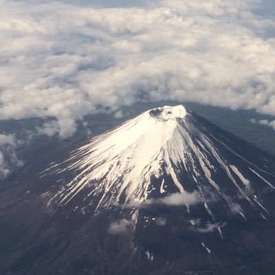 現役メンバー　安部若菜　桜田彩叶　田中雪乃　　 思い出　山本彩　清水里香