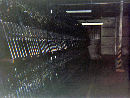 rifleman556's profile picture. SEMPER FI