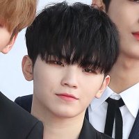 𝓼𝓪𝓮 🍑 (@ssaaee_svt) 's Twitter Profile