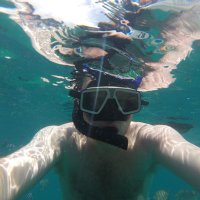 Simon Brine (@brinesimon) 's Twitter Profile