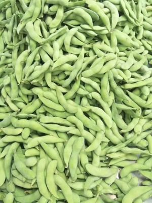 supply frozen vegetables with factory direct prices.