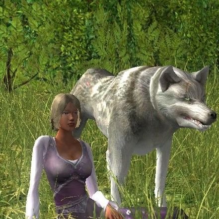 Member of the band Polnolunie 🌕(vocals, theorbo, lyrics) and the Brotherhood of the Wolf 🐺 on Laurelin, LOTRO