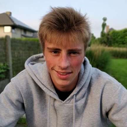 BenFoulon's profile picture. ⚜morpho blauwe hulpvaardige sneeuwstormvogel⚜