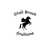 Stall Brook School(@StallBrookBPS) 's Twitter Profileg