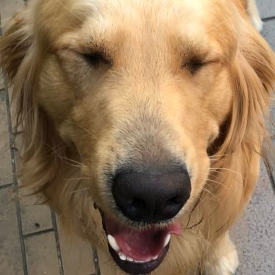 みししっぴ Gmttu Twitter みししっぴ Gmttu Twitter