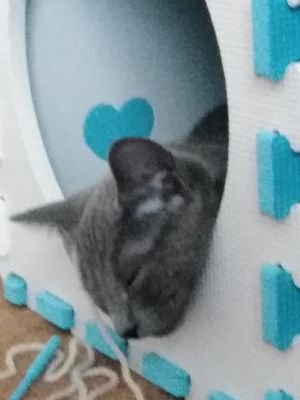 hUJr9rcXMrvL71a's profile picture. 